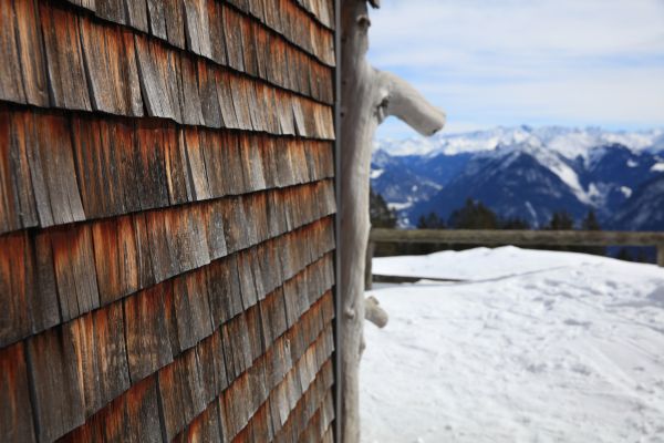 Cedar Siding Repair in Great Falls
