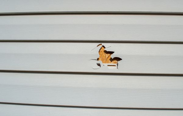 Siding Hole Repair in Great Falls