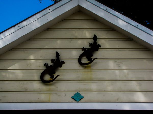 Shiplap Siding Installation in Great Falls